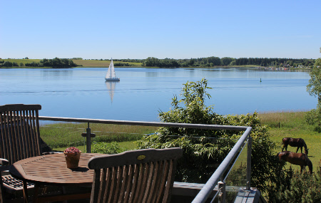 Süd-Suite > ~ Ferienwohnung an der Schlei